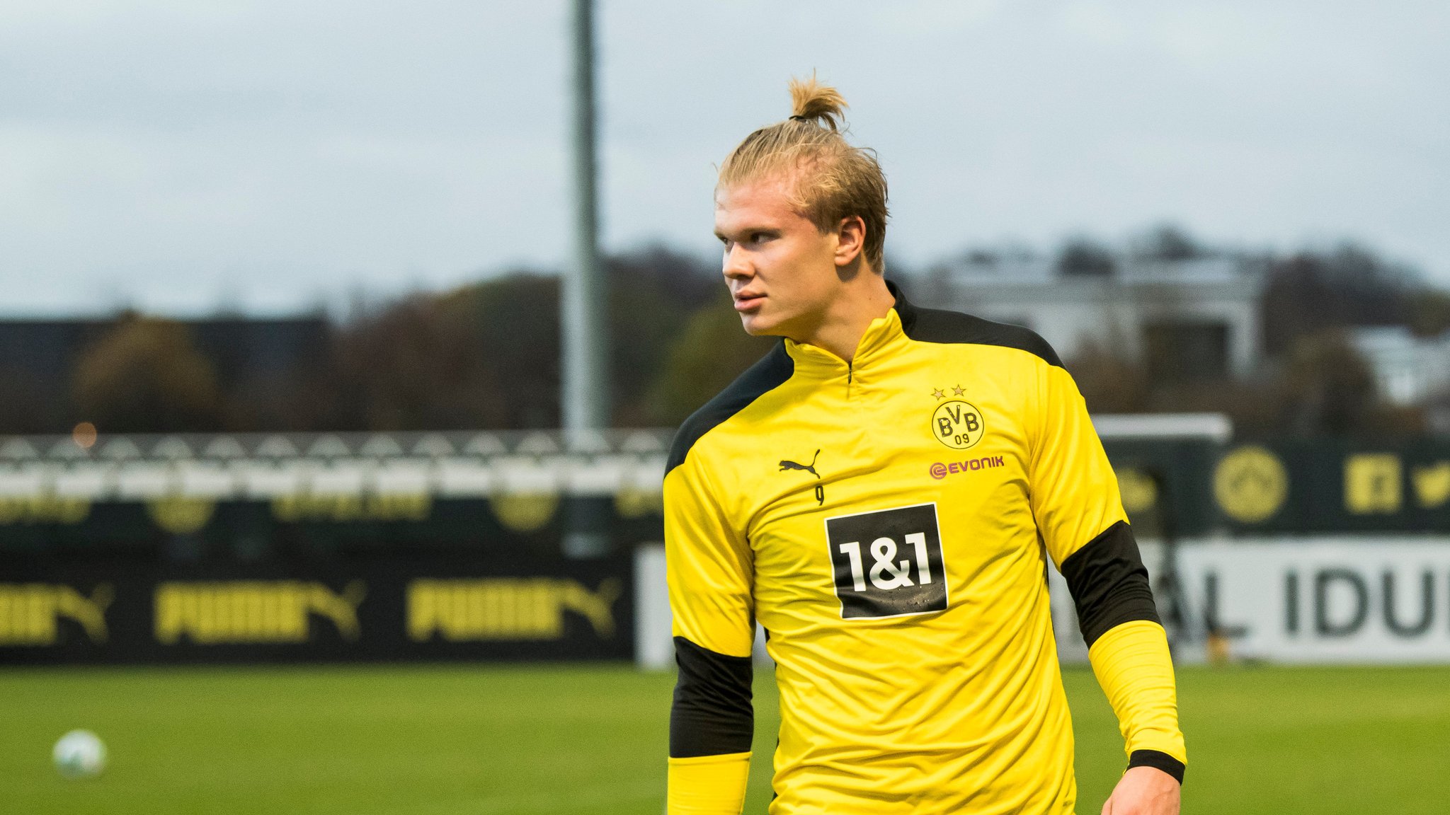 ގޯލްޑެން ބޯއީ އެވޯޑް ހާލަންޑް ހޯދައިފި