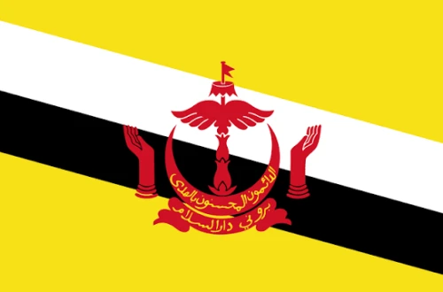 Brunei U20